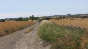 Sortida de cicle de btt per l'Alta Segarra
