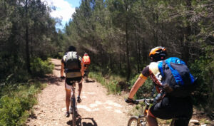 BTT - Sortida de Cicle 2-3 d'octubre: Parcs del Garraf i del Foix (N2)