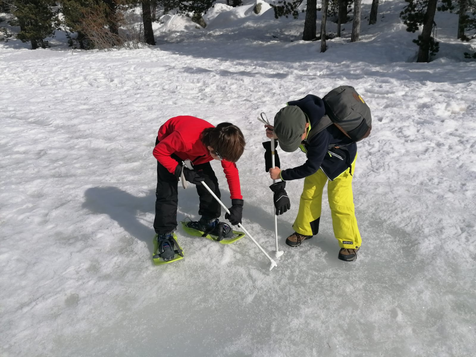 Sortida del grup de famílies: Raquetes/esquí de fons Lles de Cerdanya – 29 de gener