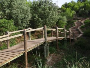 Matinal: Castelldefels - Gavà i visita al Parc Arqueològic Mines de Gavà
