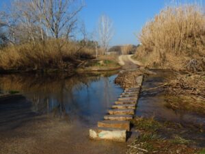 Matinal: De Sant Sadurní d'Anoia a Gelida