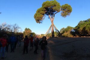 Matinal: Del Baixador de Vallvidrera a Sant Cugat, passant per Sant Medir