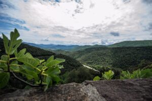 Sortida BTT CEG: Matinal a la Vall de Bianya