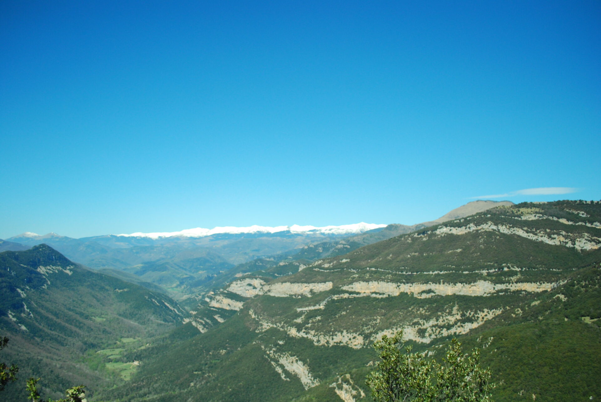 16-17 de novembre: Sortida de Mitja Muntanya: Puig de Bestracà