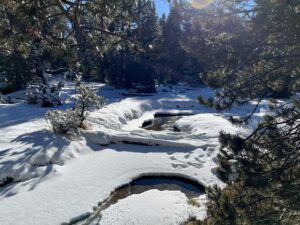 Famílies - Raquetes a Lles de Cerdanya