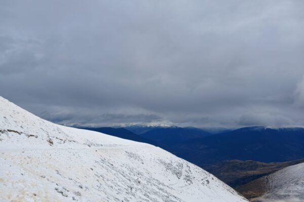 IMG-20240210-WA0016