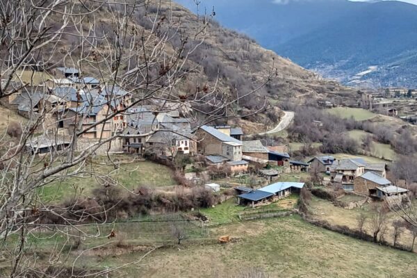 IMG-20240211-WA0001