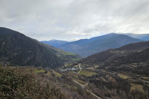 IMG-20240211-WA0038