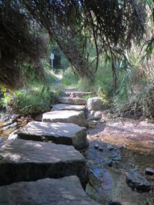 Matinal: Sabadell – Castell del Clasquerí