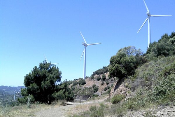 Parc Elic Coll dels Feixos