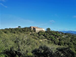 Senders: GR-7 - Etapa 17 - De l’Arbolí al Coll de la Teixeta