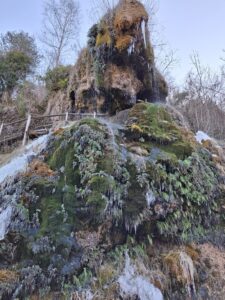 Famílies - Riera de Vallfogona i Torrent de la Masica