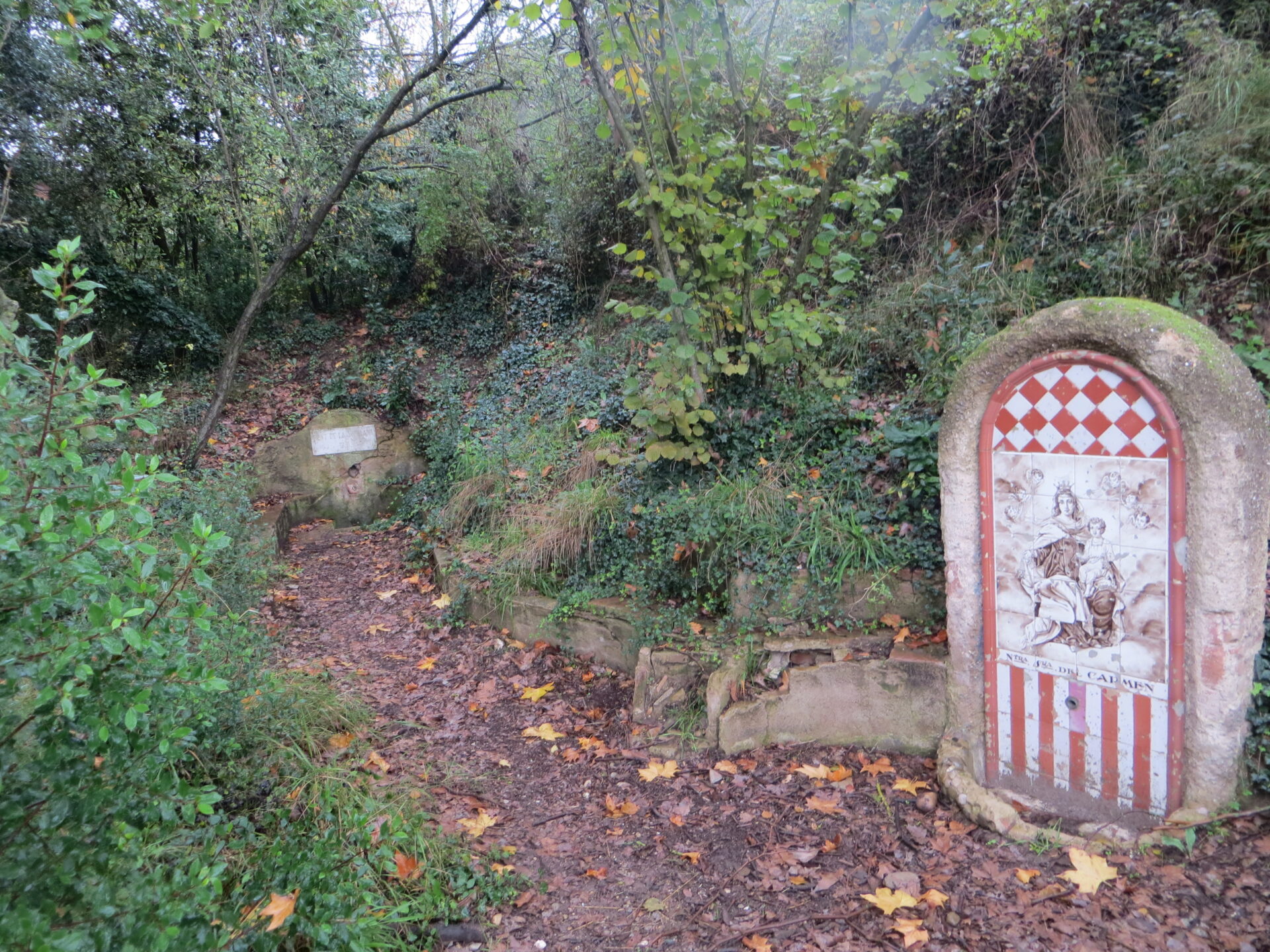 Matinal: De Rubí a Les Fonts per Sant Muç – 12 de febrer