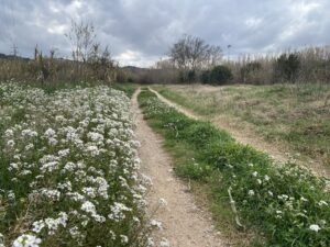 Matinal: Gràcia a Montserrat – Etapa 3: Castellbisbal a Olesa de Montserrat.