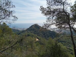 Matinal: Circular per Cabrils – Roca d’en Toni