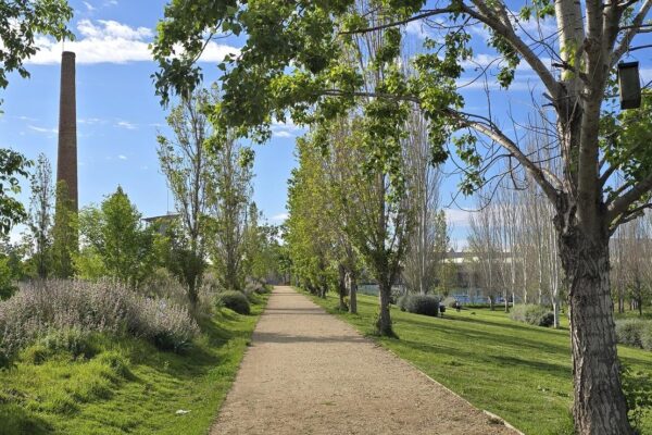 Camí del riu Camí del riu