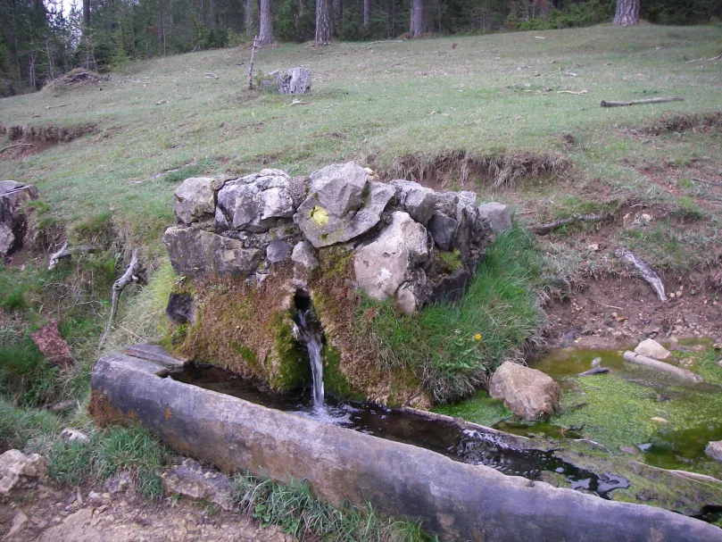 Famílies – Circular a la serra del Catllaràs. 27/09/25