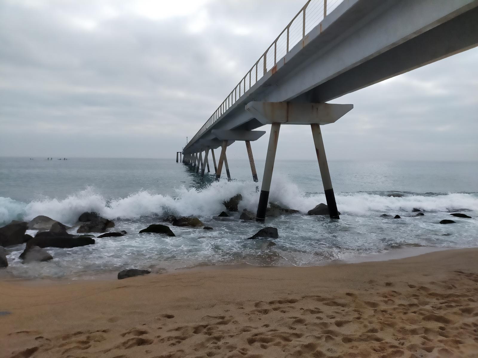 Sortida inclusiva fàcil: Des de Badalona ran de mar. 19/11/2025