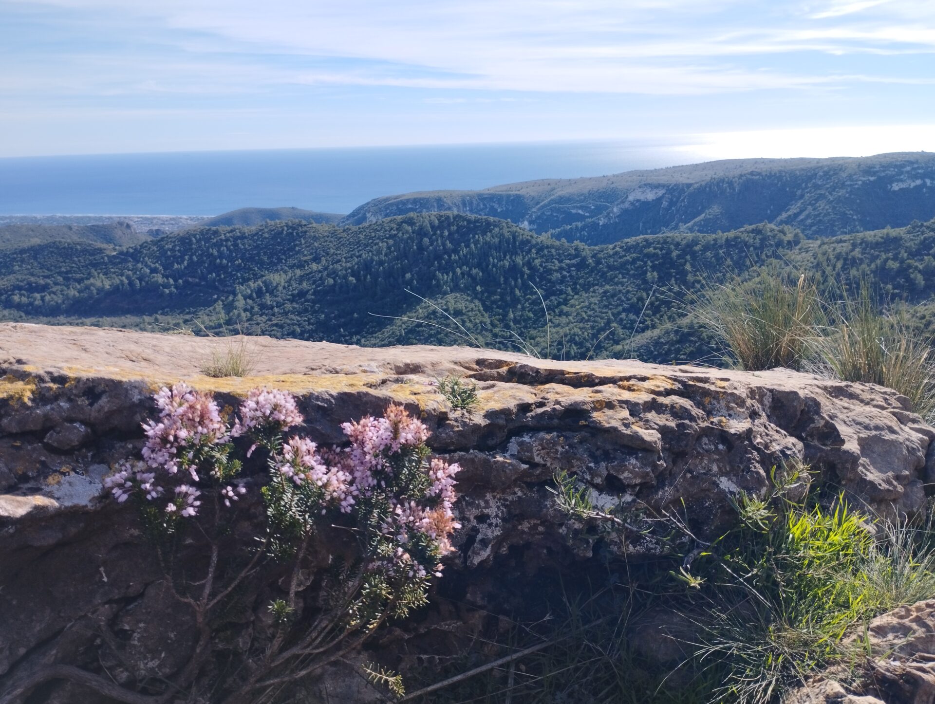 Famílies – Begues-La Morella. 16/11/25