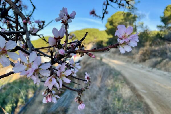IMG_6139 IMG_6139