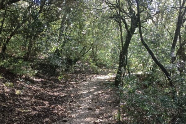 IMG_20260424_103737