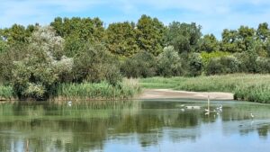 Matinal: Passejada per l’estany de Sils